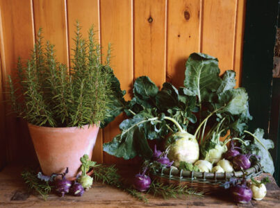 How to Grow and Cook Kohlrabi and Rosemary Image